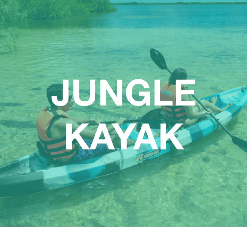 Jungle Kayak - Isla Pasión