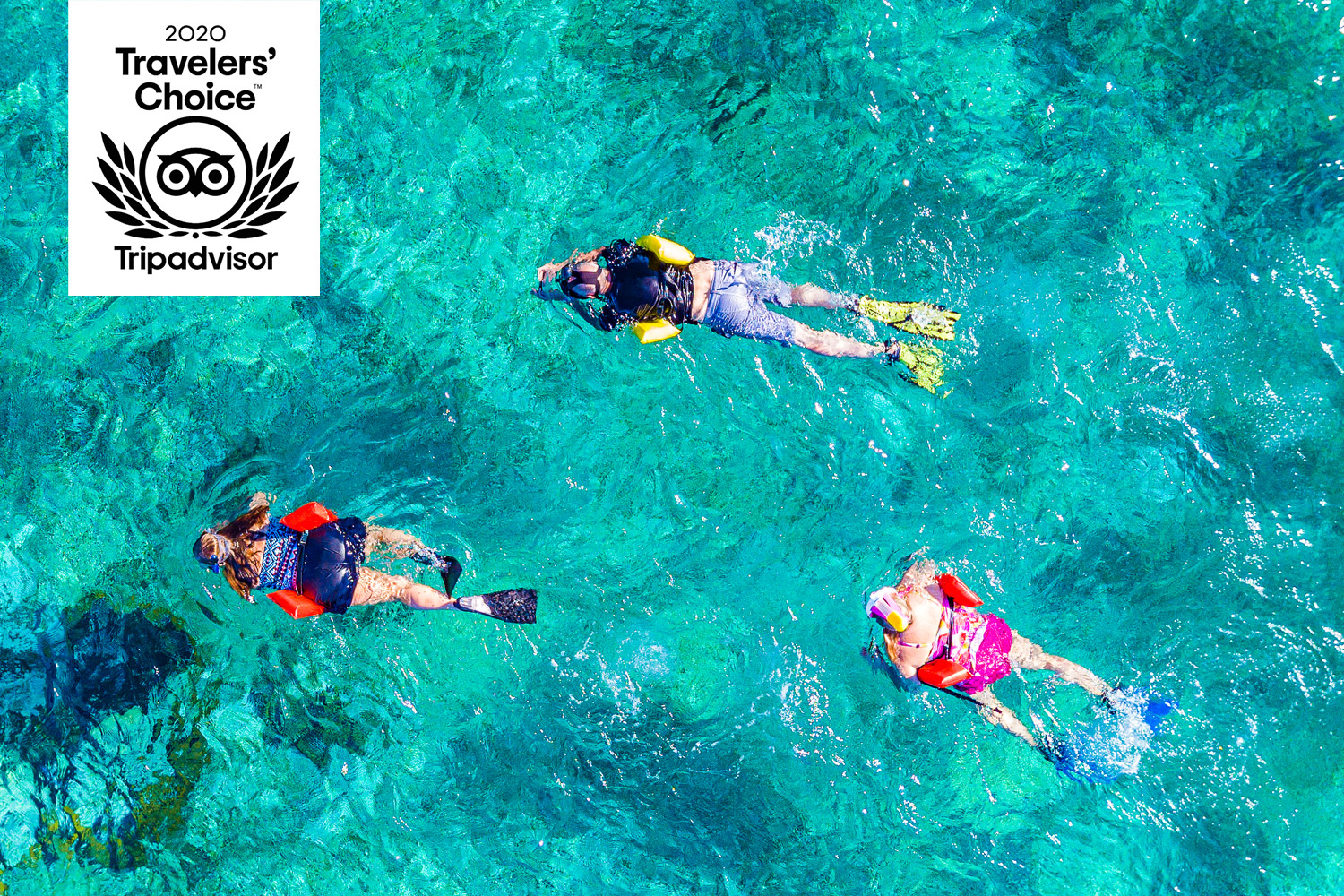 El mejor tour de Snorkel en Cozumel - Isla Pasión